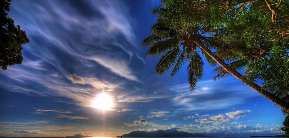 قهوه گلی میوه ای