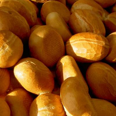 قهوه تک خاستگاه