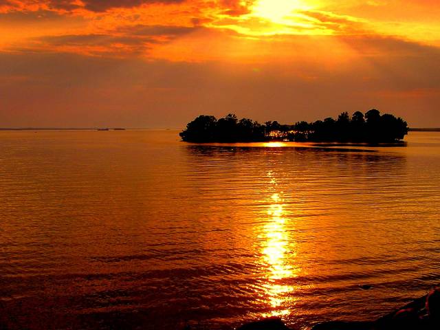 قهوه اسپرسو